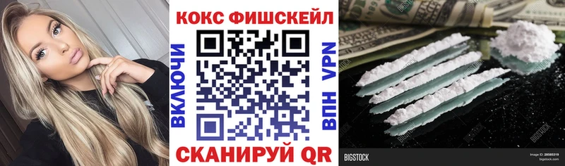 Cocaine Fish Scale мега ССЫЛКА Шиханы как найти наркотики