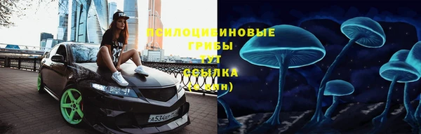 кокс Баксан