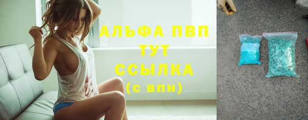 сатива Балахна