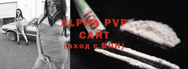 кокс Баксан