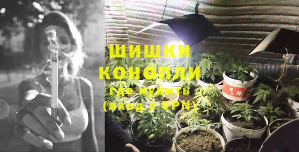 сатива Балахна