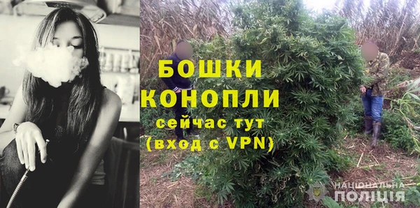 сатива Балахна
